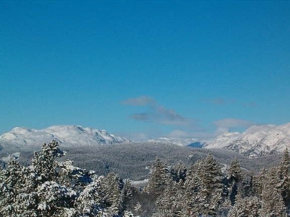 Mot Vaa Galleribilde