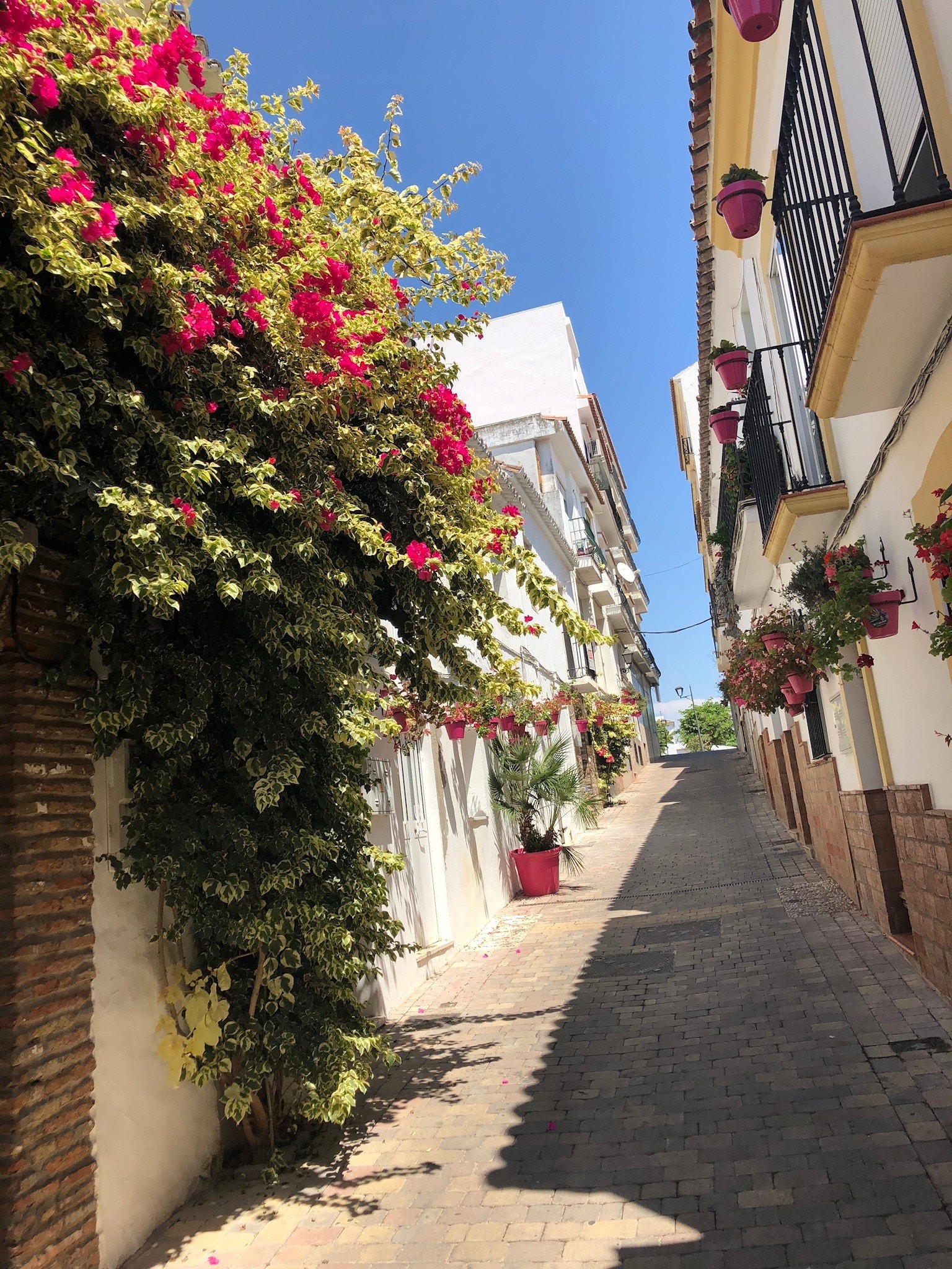 Old Town Galleribilde