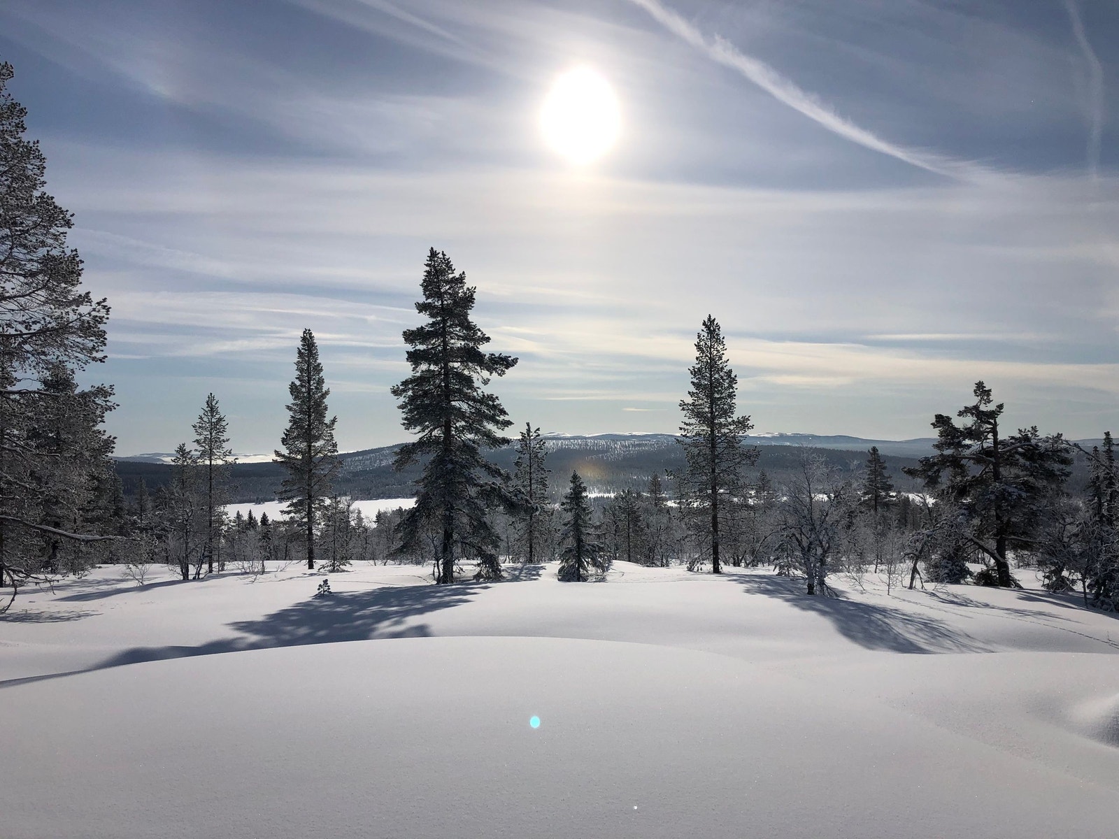 Vinterlandskap Galleribilde