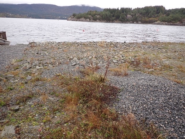 Tomt gnr. 66 bnr. 54 Galleribilde