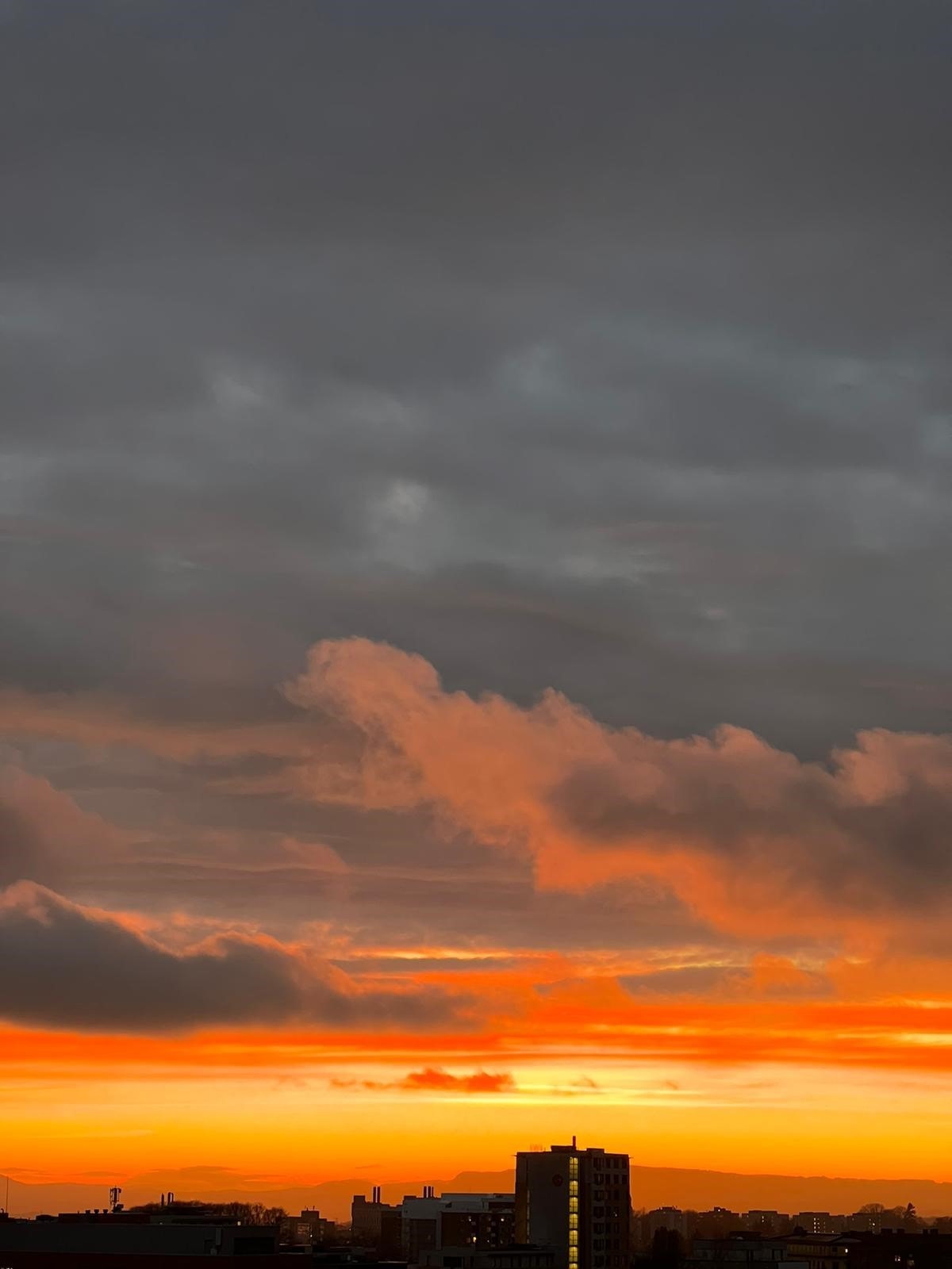 Bilde tatt av selger. Galleribilde