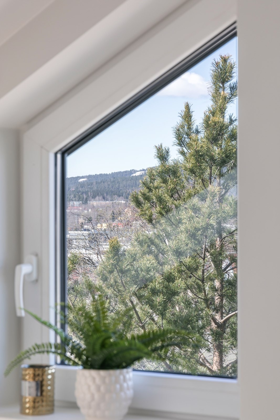 Utsikt. Galleribilde