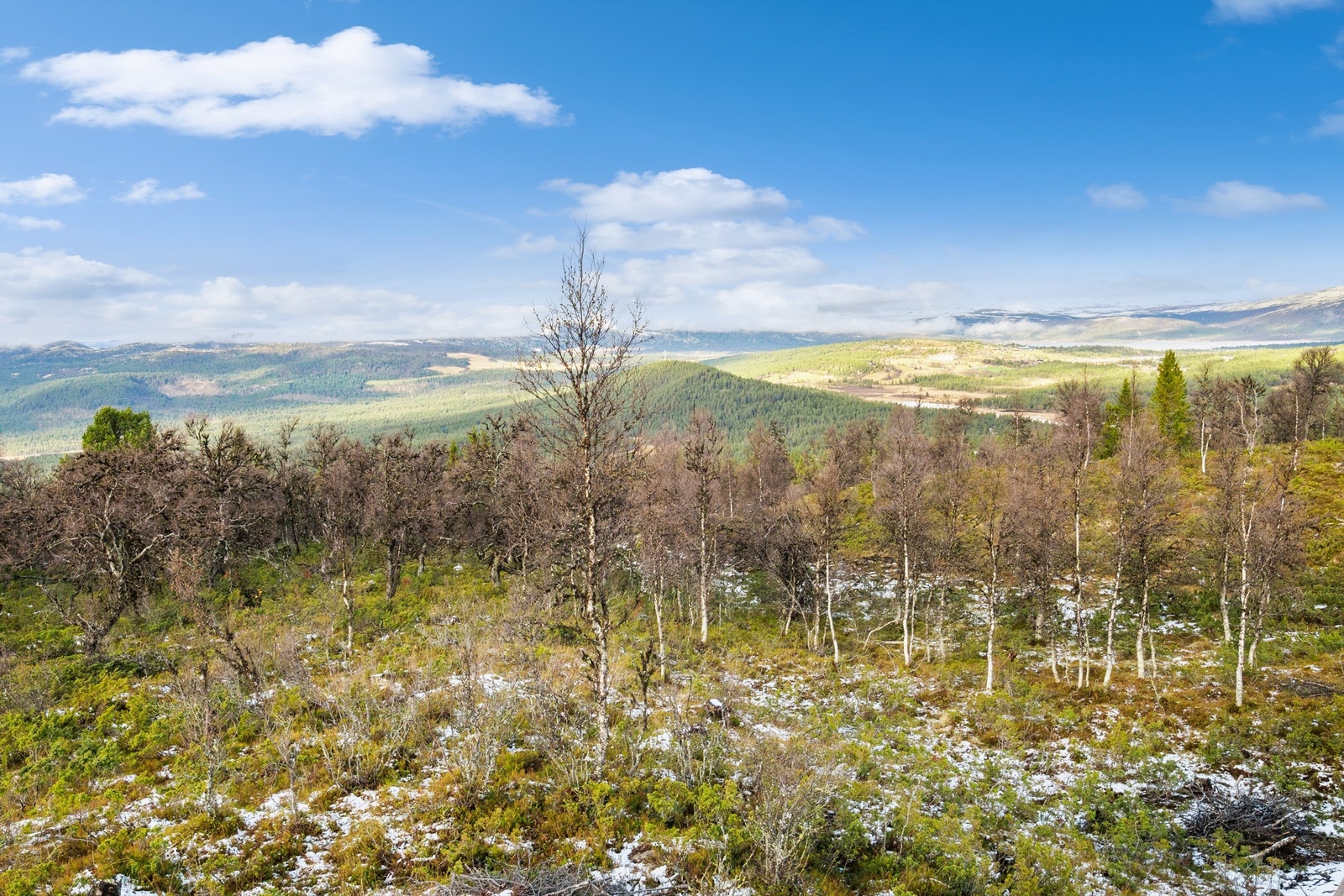 Fantastisk utsikt Galleribilde
