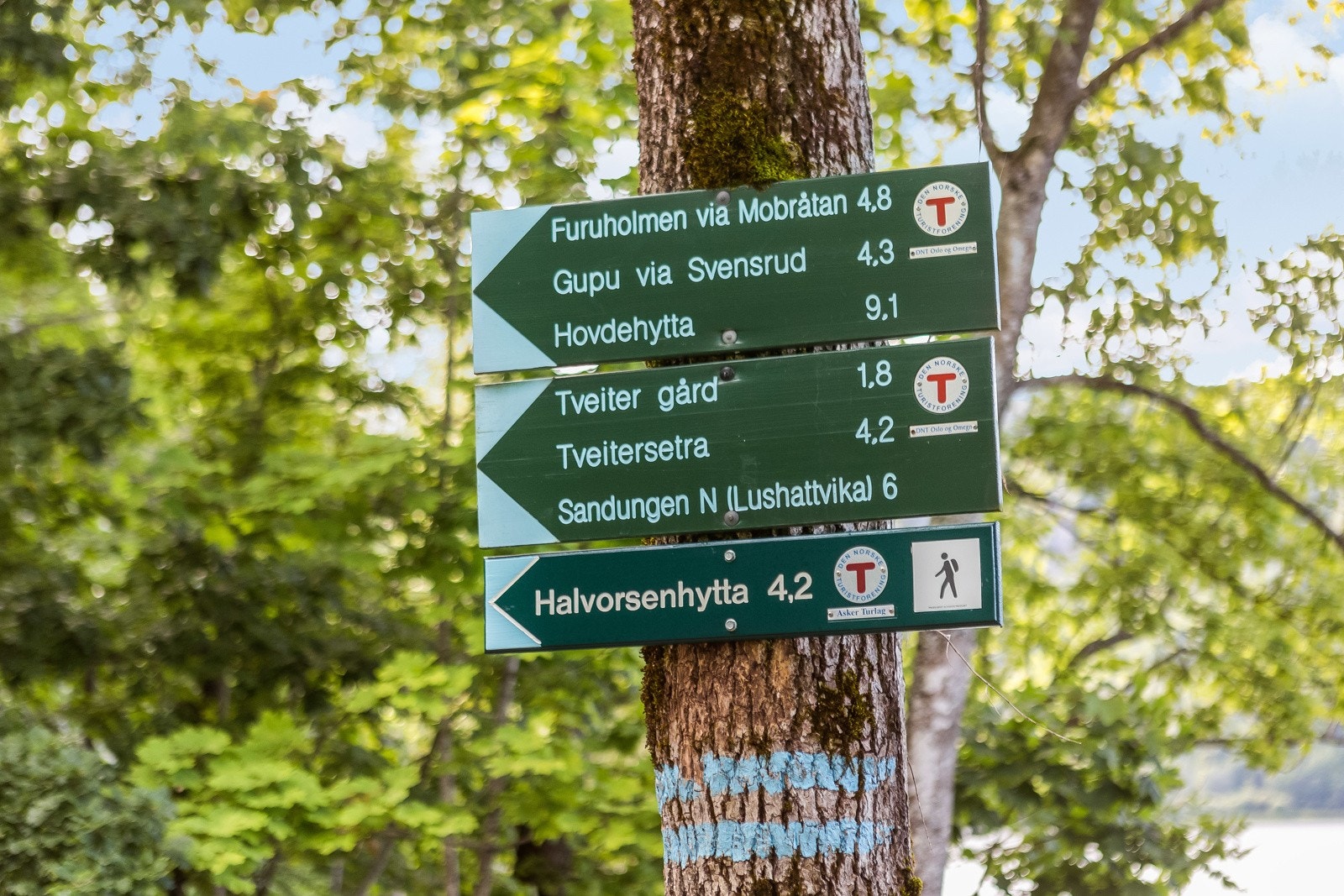 Fra eiendommen er det nærhet til en rekke tur- og rekreasjonsmuligheter. Galleribilde