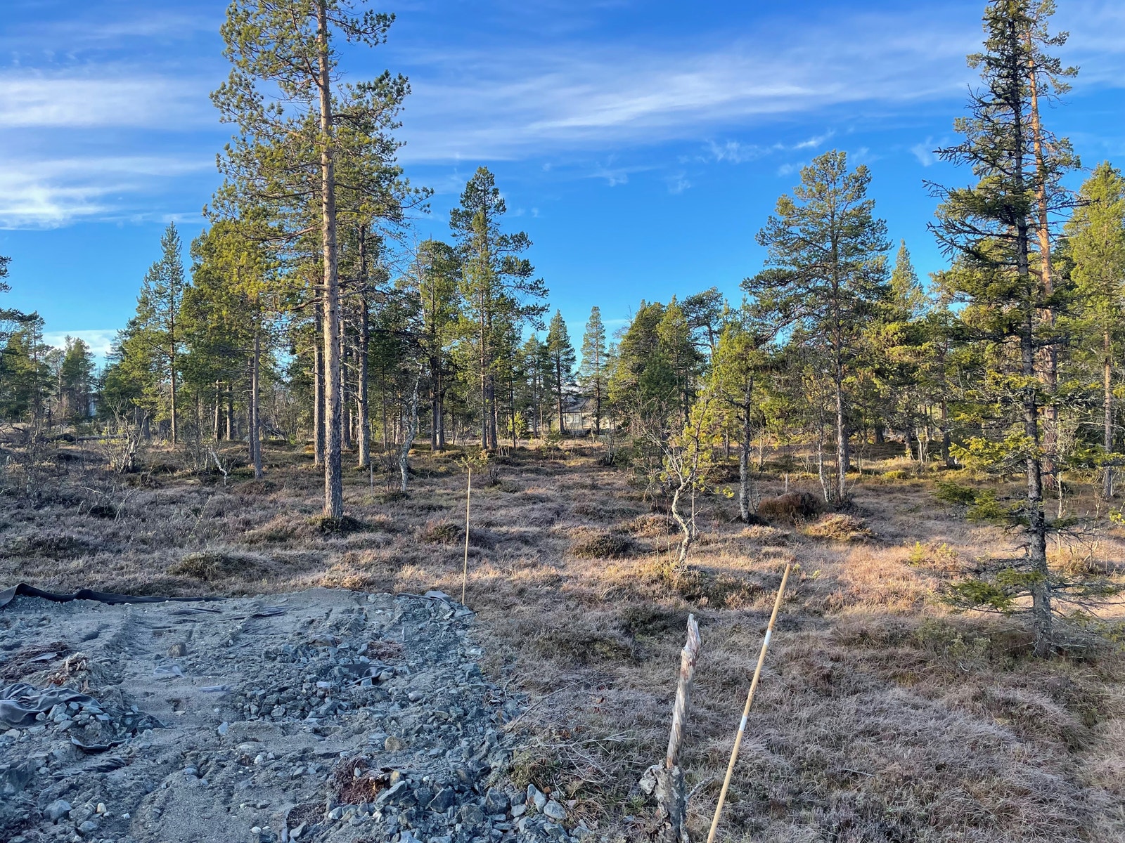 Bilde fra tomteområdet Galleribilde