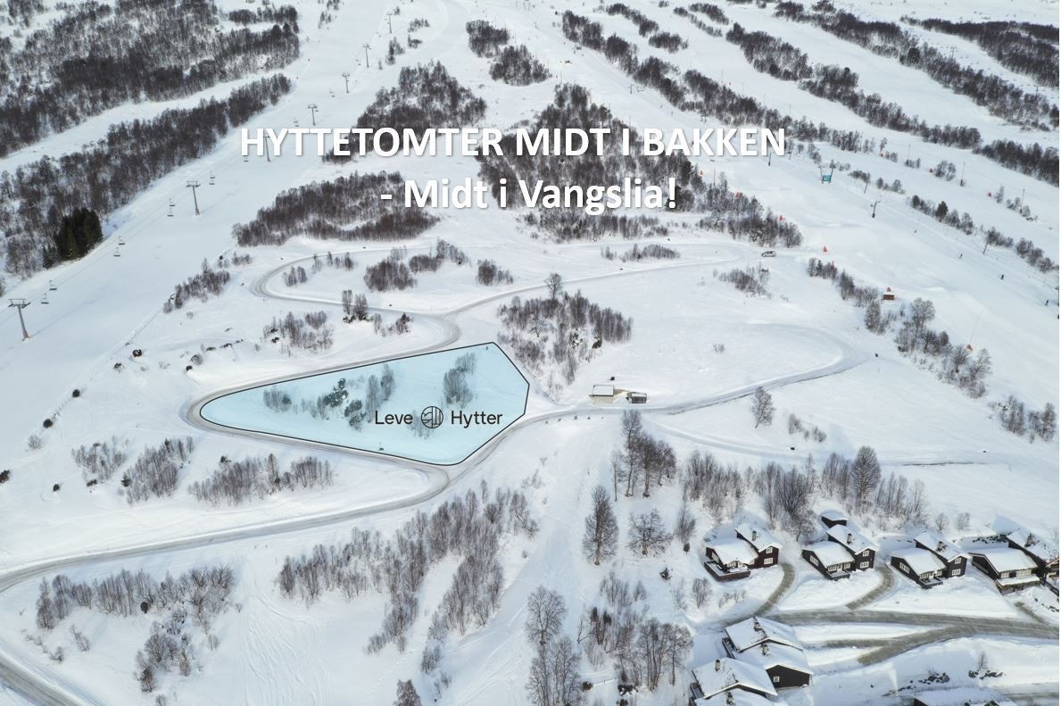 Oversikt tomtefelt Galleribilde