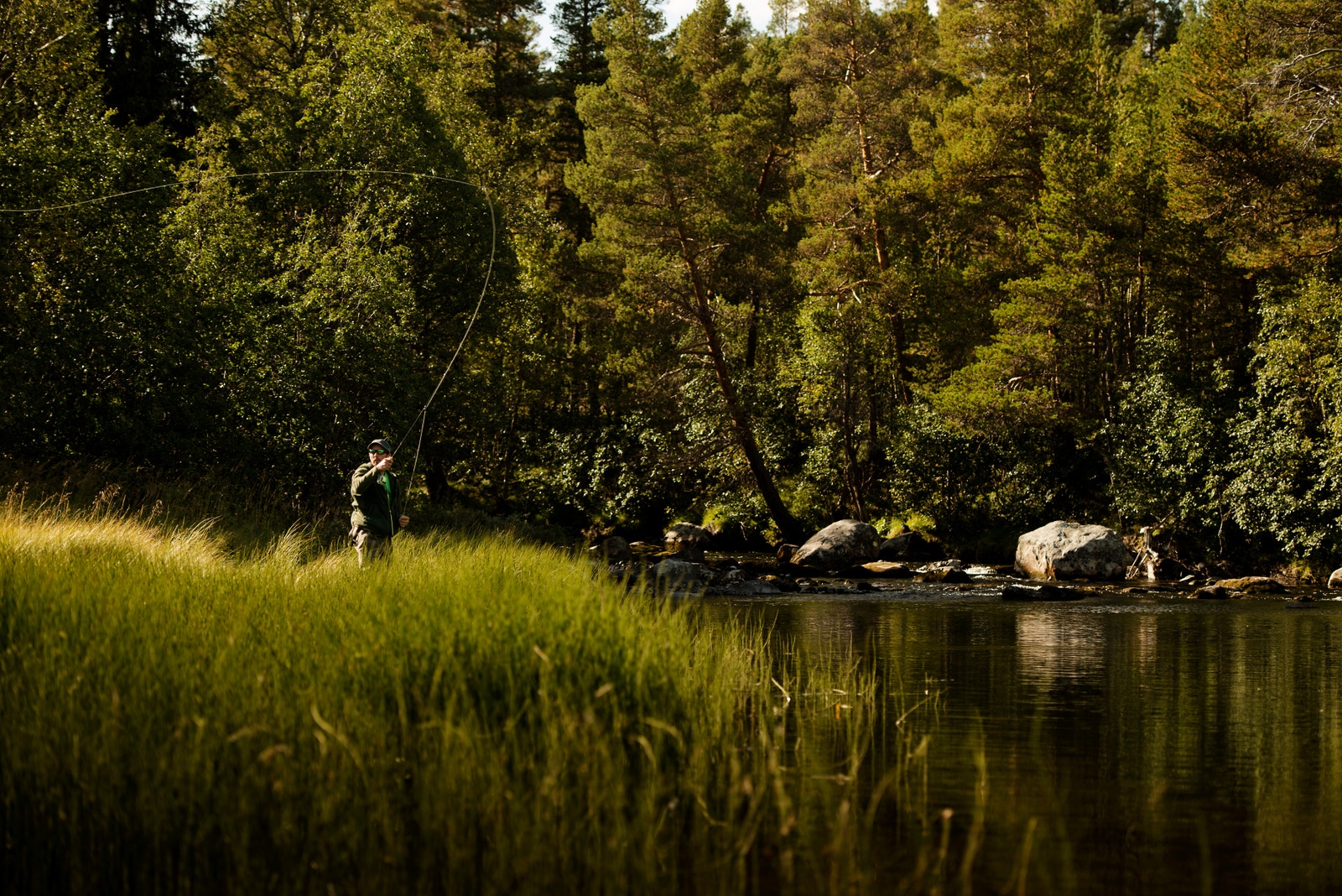 Fine fiskemuligheter i området. Mjølsjøen er et populært fiskevann for ørretfiske i nærheten Galleribilde