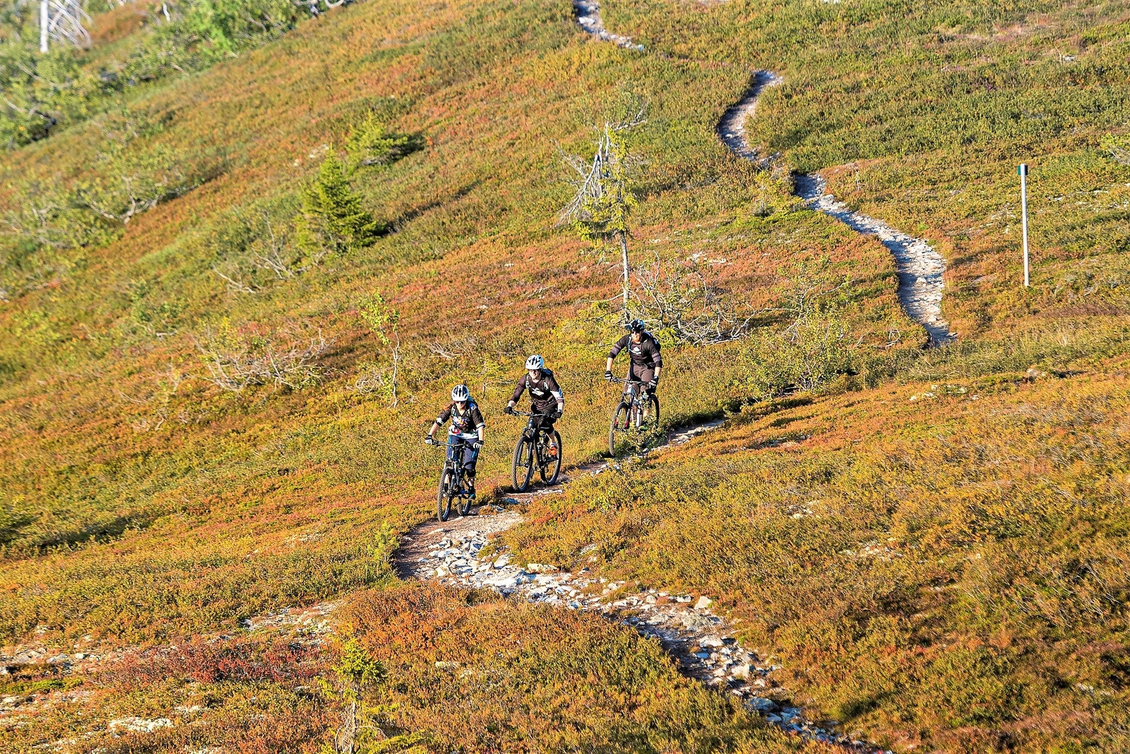 "Flendalen-Bittermarka Runden" er en populær sykkeltur på ca. 7 mil som starter og avsluttes i Trysil sentrum, Galleribilde