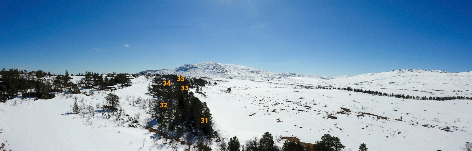 Litjfjellet brukes av flere som utgangspunkt for turer inn i Trollheimen Galleribilde