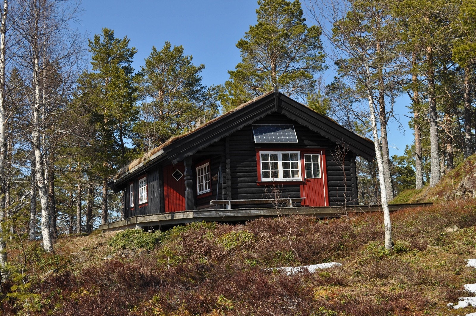 Velkommen til Litjfjellet! Galleribilde
