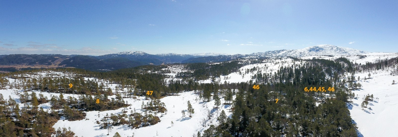 Frihet til å velge hytteleverandør Galleribilde