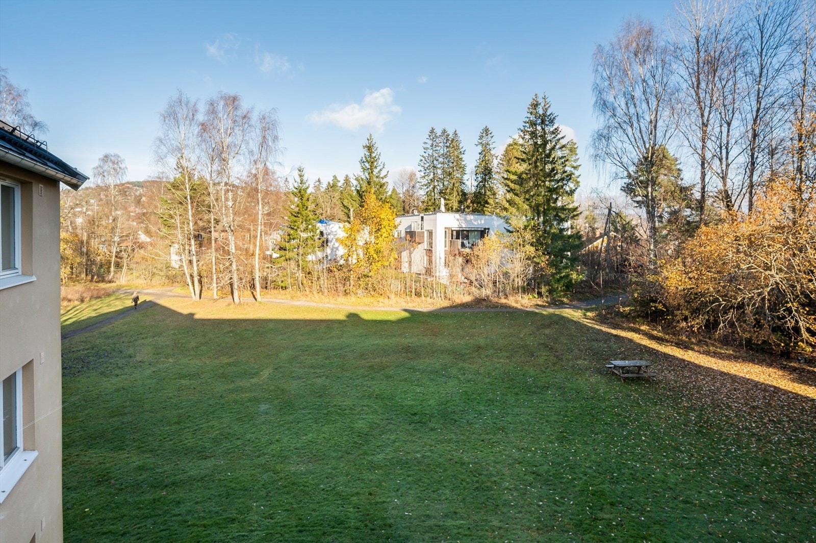 Pene, grønne fellesarealer Galleribilde