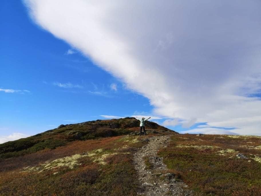 Turmuligheter i området Galleribilde