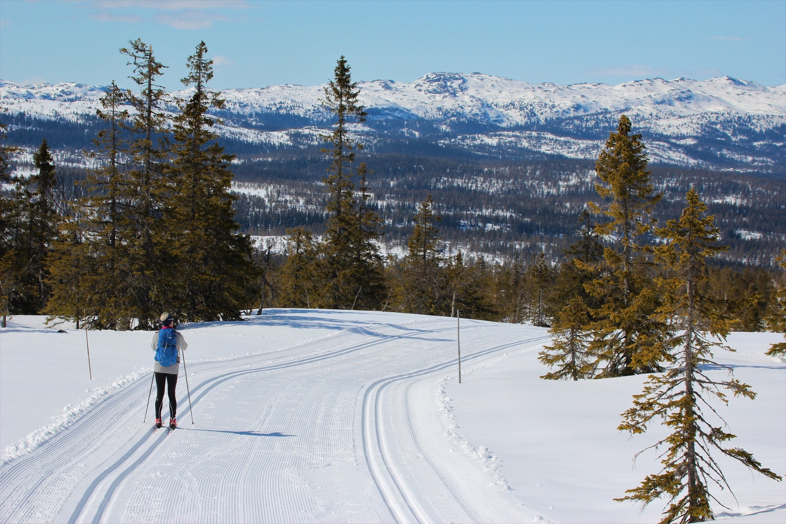 Dette er tatt på Grohølsfjellrunden på vei ned i hyttegrenda. Galleribilde