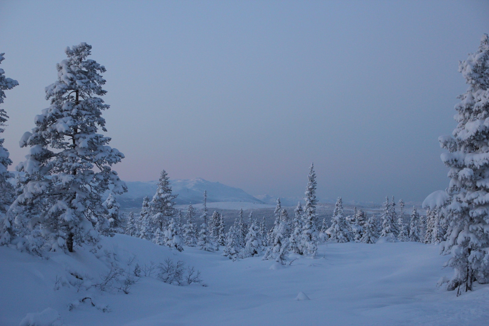 Utsikt fra hyttegrenda mot Vegglifjell Galleribilde
