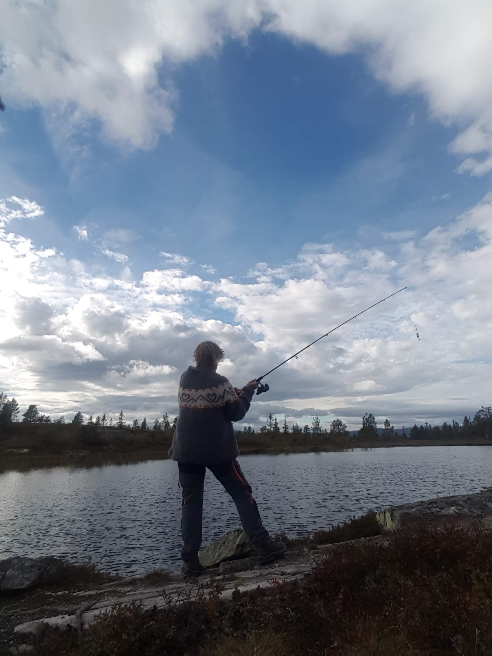 I Steintjønn Hyttegrend er det fiskemuligheter! Her svømmer det fin ørret. Galleribilde