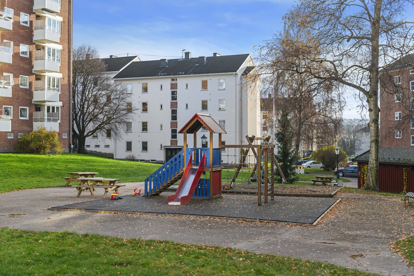 Ola-Narr-21 Galleribilde