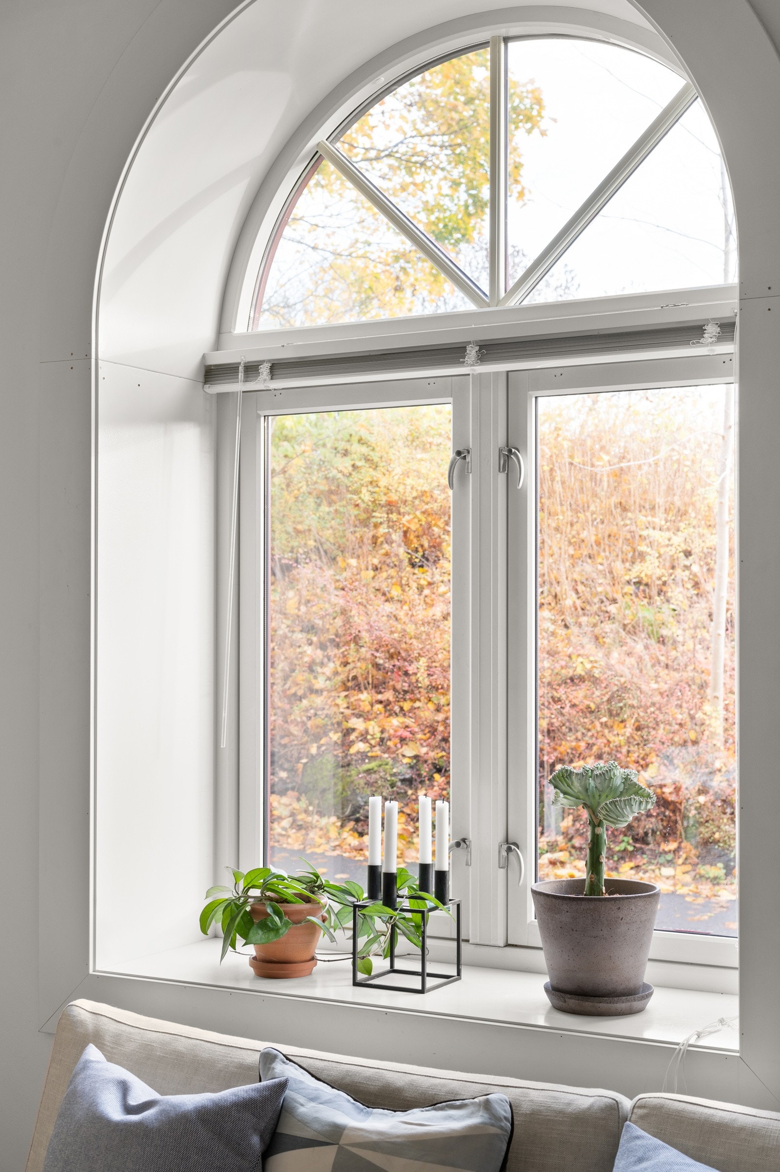 Alle vinduene i leiligheten var nye i 2010, og det er dype vinduskarmer for planter og dekor. Galleribilde