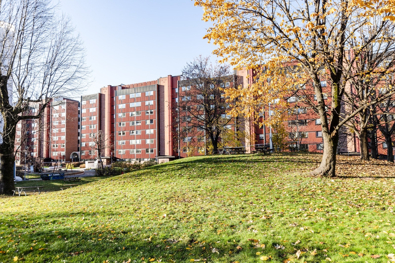 A•sengata 4B-4.jpg Galleribilde