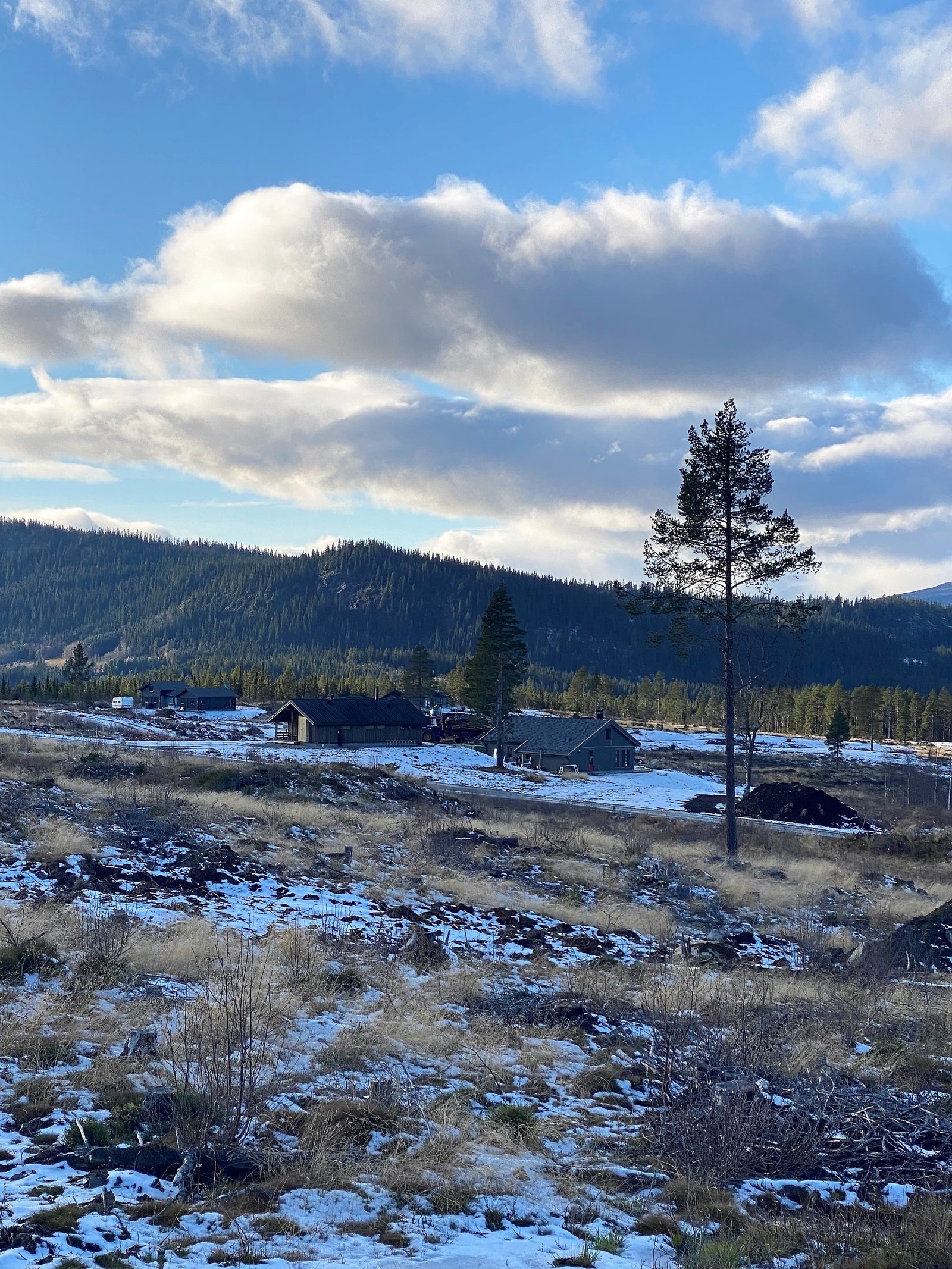 Området ligger åpent og solvendt til 850 moh Galleribilde