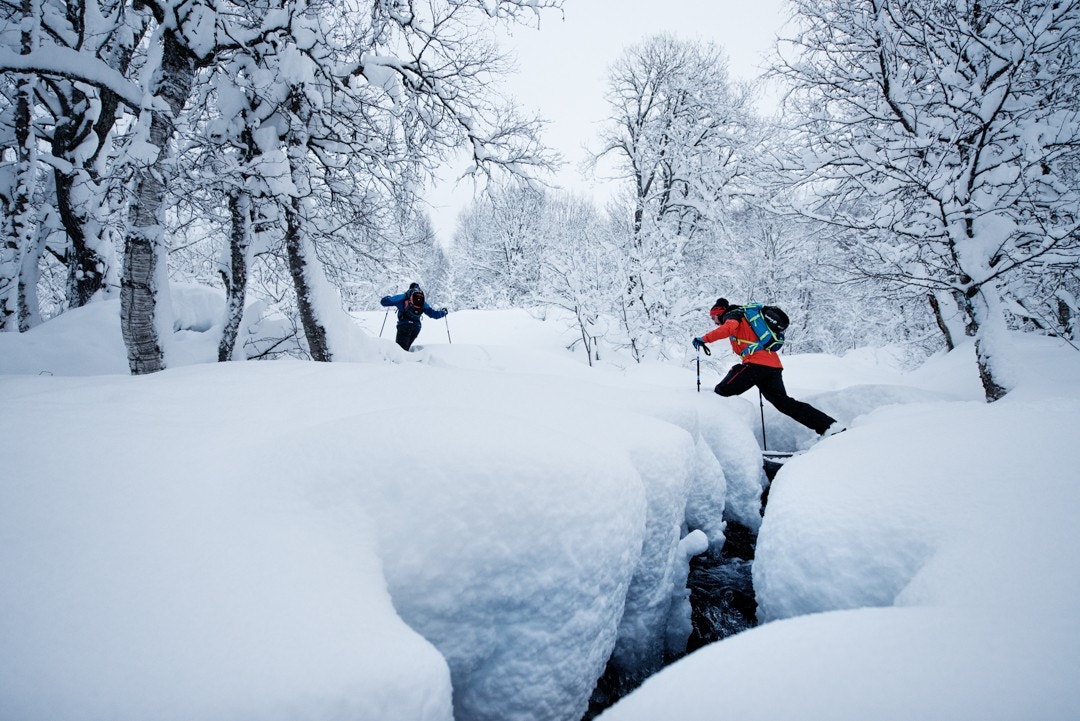 I umiddelbar nærhet finner du merkede stier, tur- og friluftsterreng Galleribilde