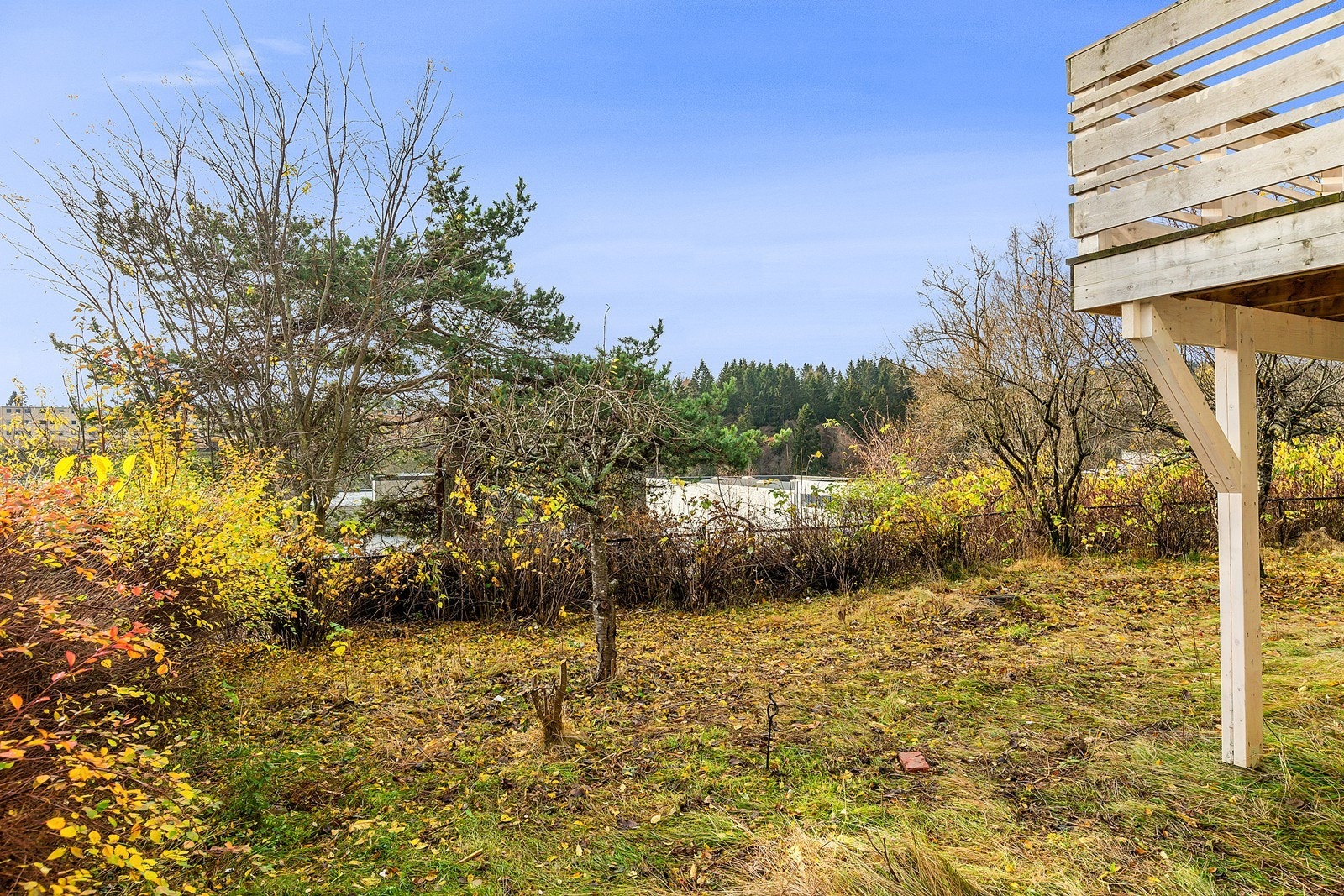 Huset ligger åpent og fritt ved foten av marka. Galleribilde