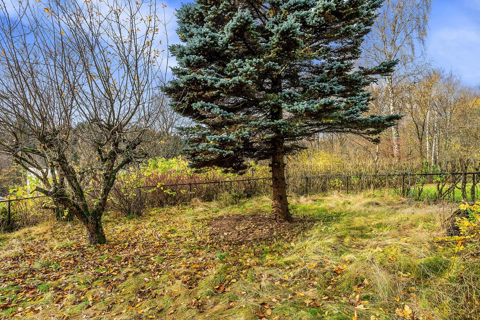 Et perfekt oppholdssted for barna og de med grønne fingre. Galleribilde