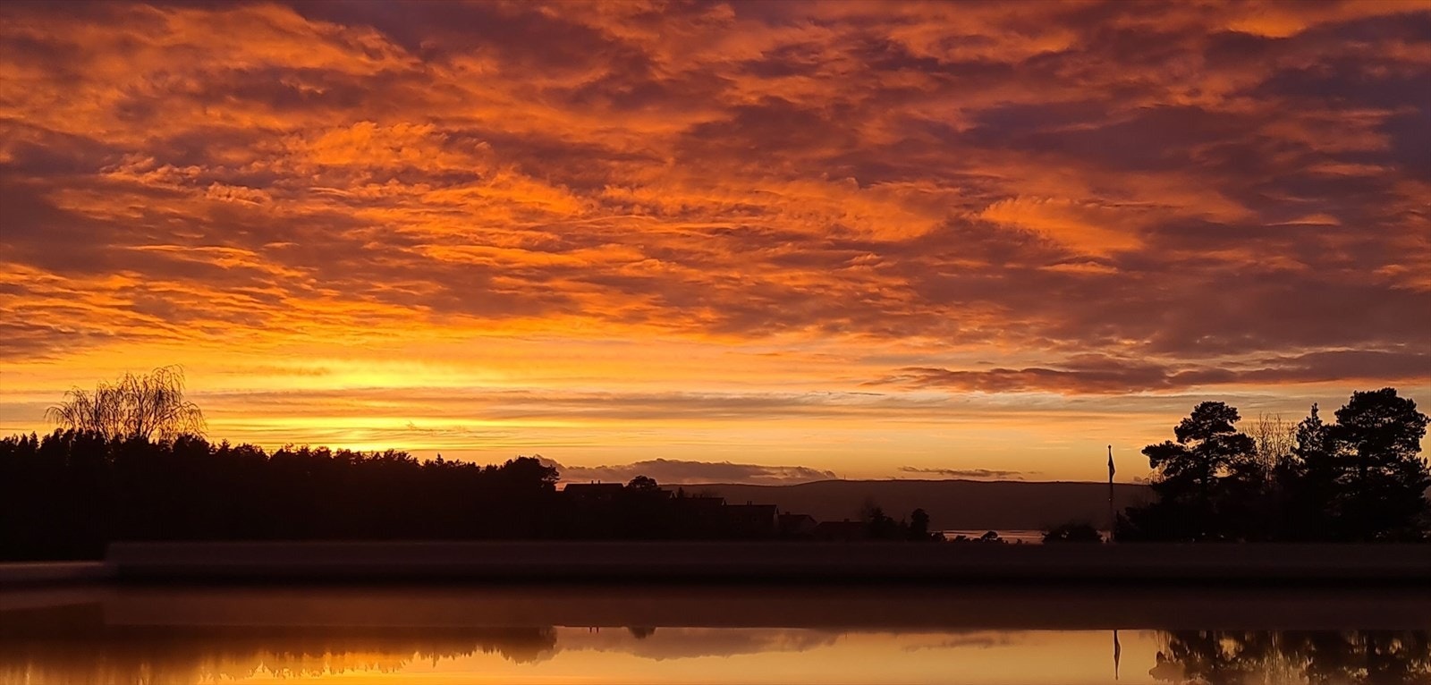 Selgers bilde. Galleribilde