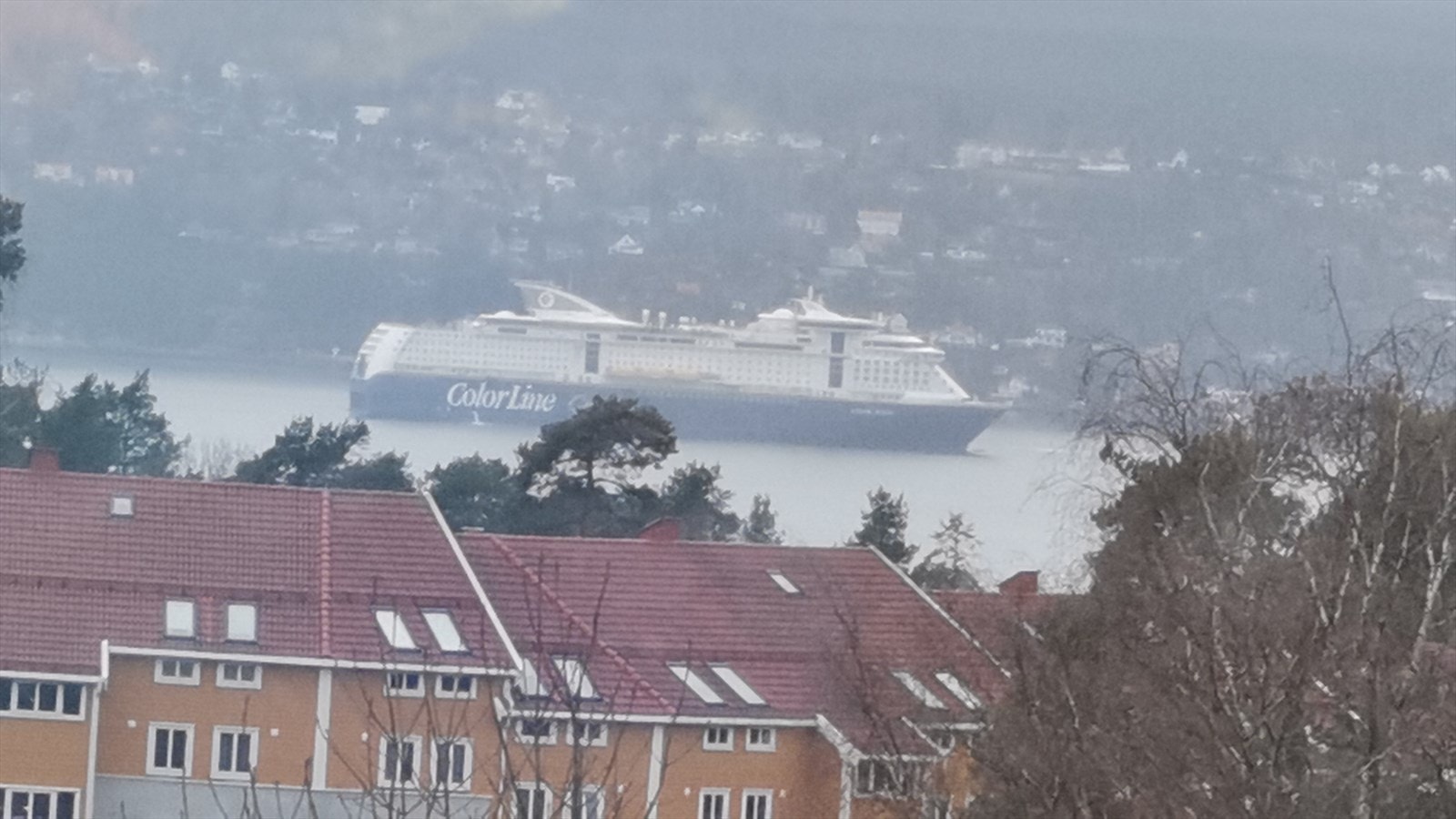 Selgers bilde. Galleribilde