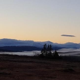 Blåfjella-Skkjækerfjella nasjonalpark og innfallsporten til disse ligger like i nærheten av hytteområdene. Galleribilde
