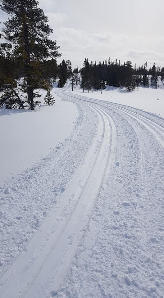Det finnes i perioder også skispor i nærområdet til Grønningen. Disse blir kjørt opp av hyttefolket i Grønningen. Galleribilde