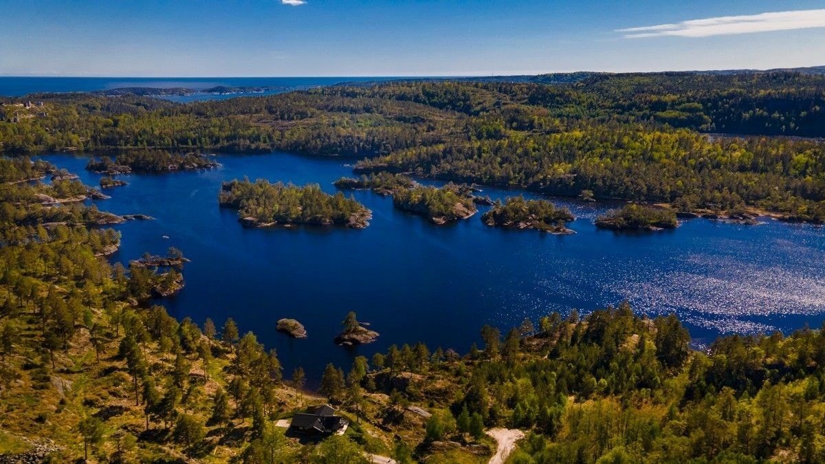 Utsikt over Skarvann Galleribilde