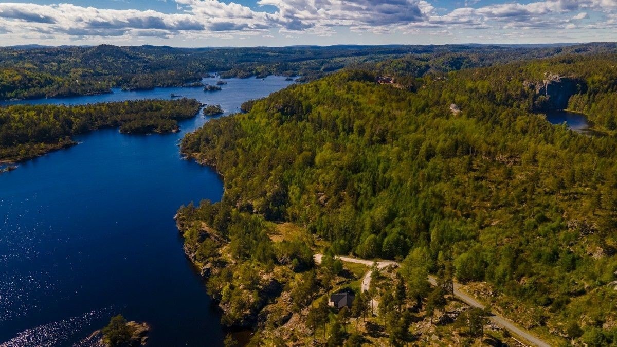 Skarvann og området Galleribilde