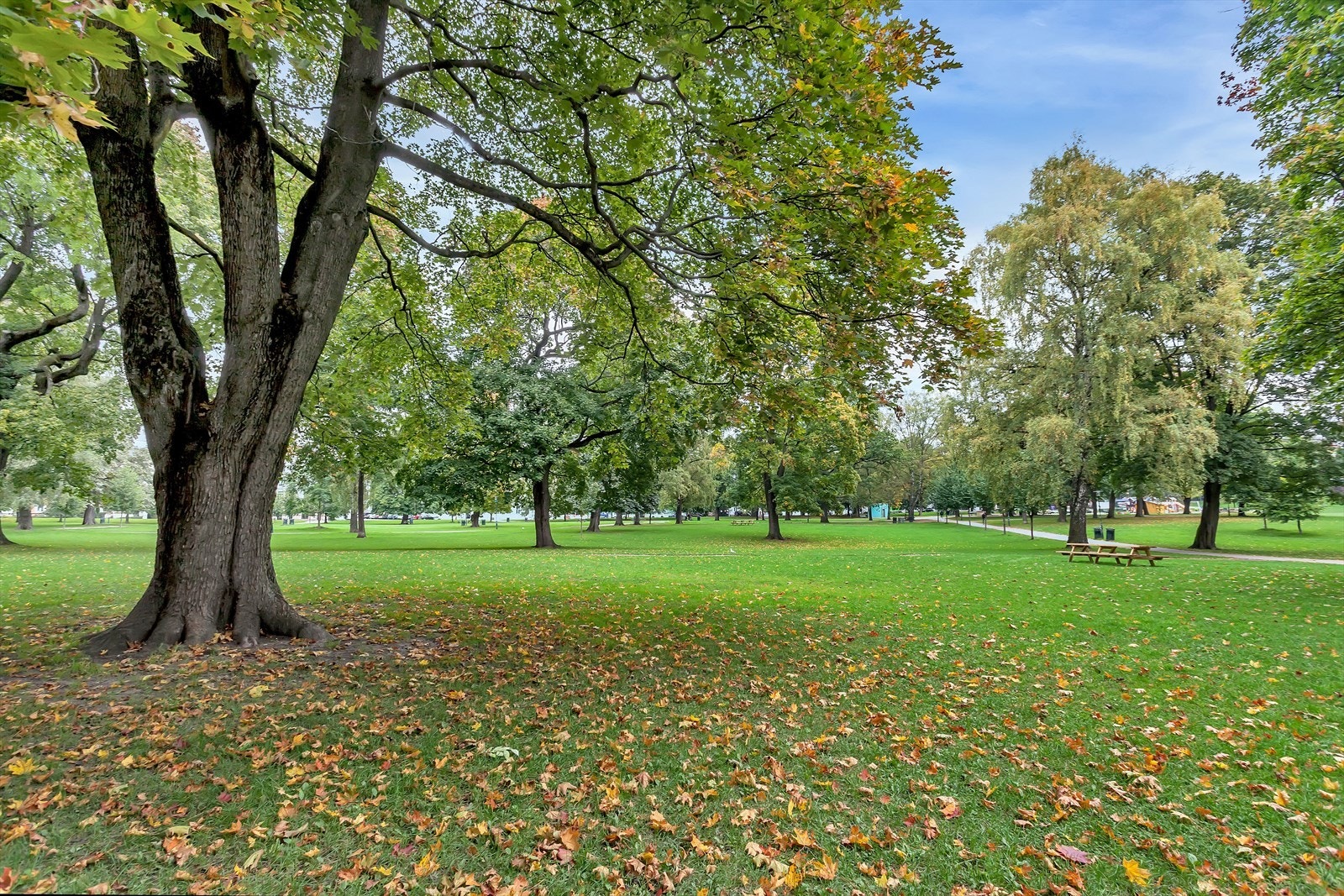Sofienbergparken Galleribilde