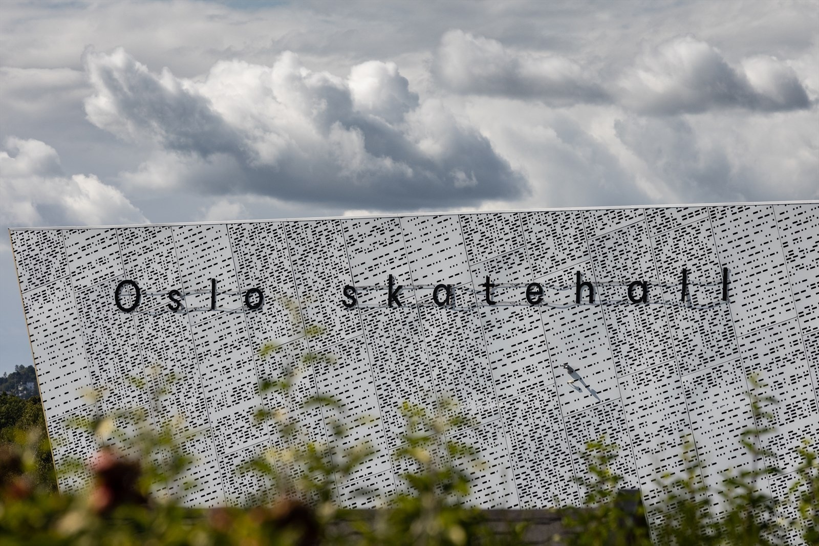Nærområdet Galleribilde