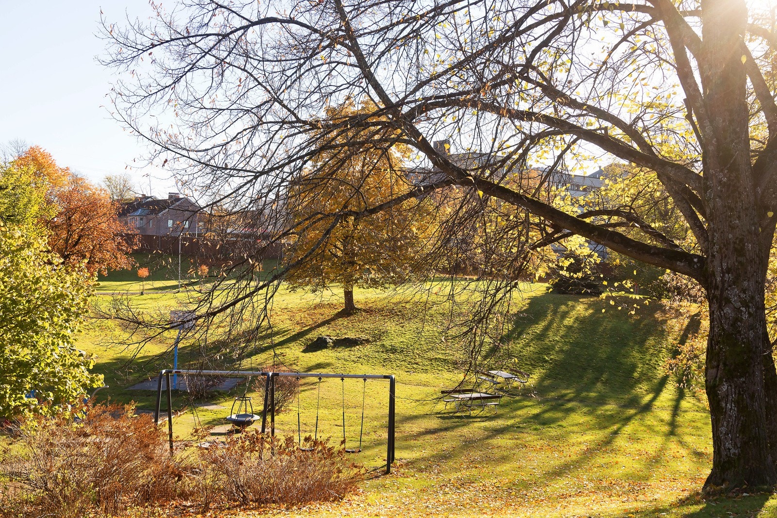 Når du velger hjem, velger du også nabolag og nærområde - rammen rundt selve boligen. Leiligheten ligger i rolige omgivelser på Disen. Galleribilde