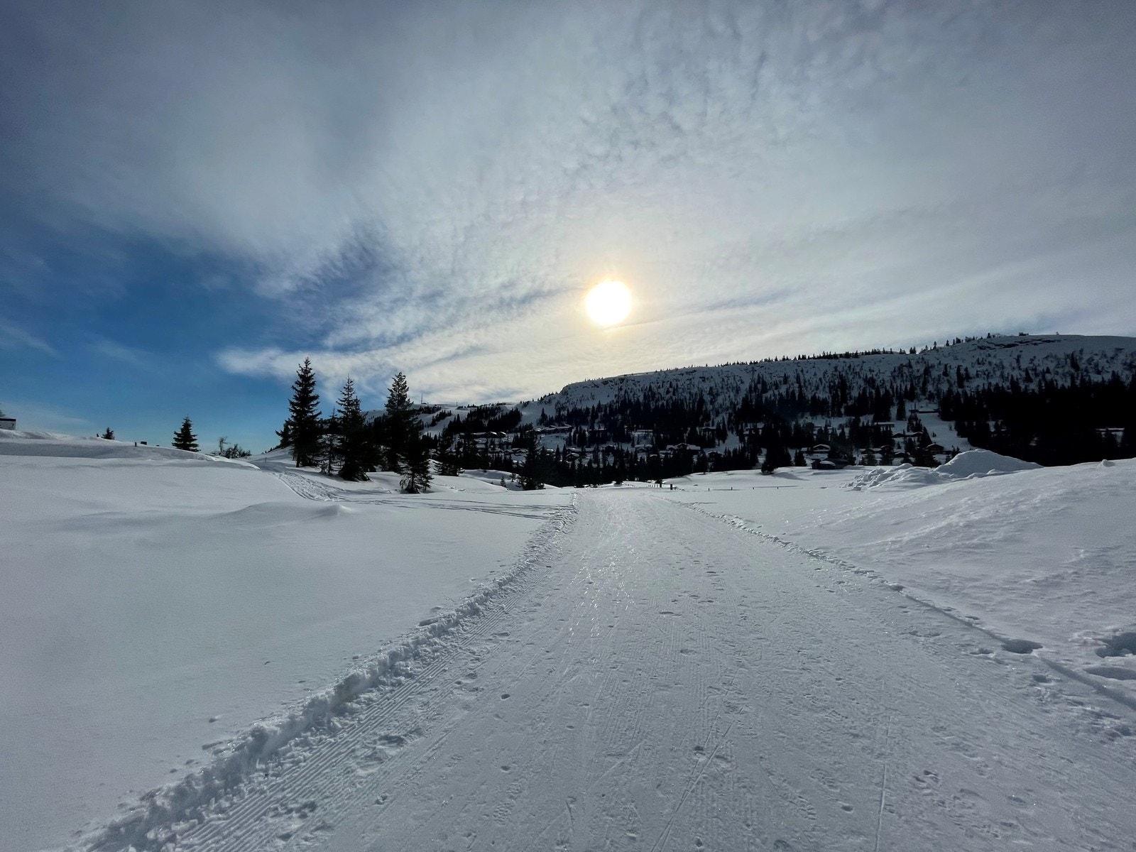 Nydelige familieløyper i alle typer former på en vakker vinterdag. Galleribilde