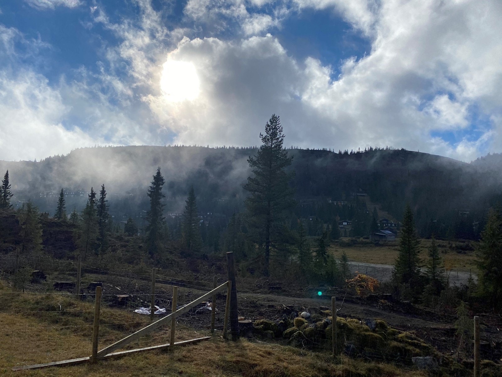 Trolsk stemming i flotte områder. Galleribilde
