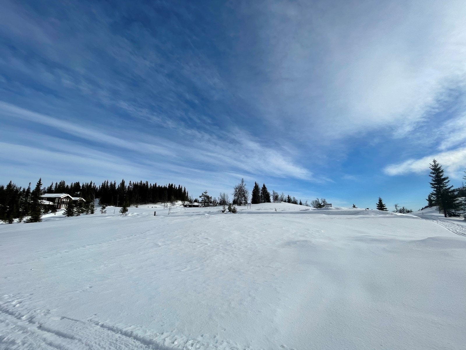 Idyllisk og rolig beliggenhet med skiløyper rett ved hyttedøra. Galleribilde