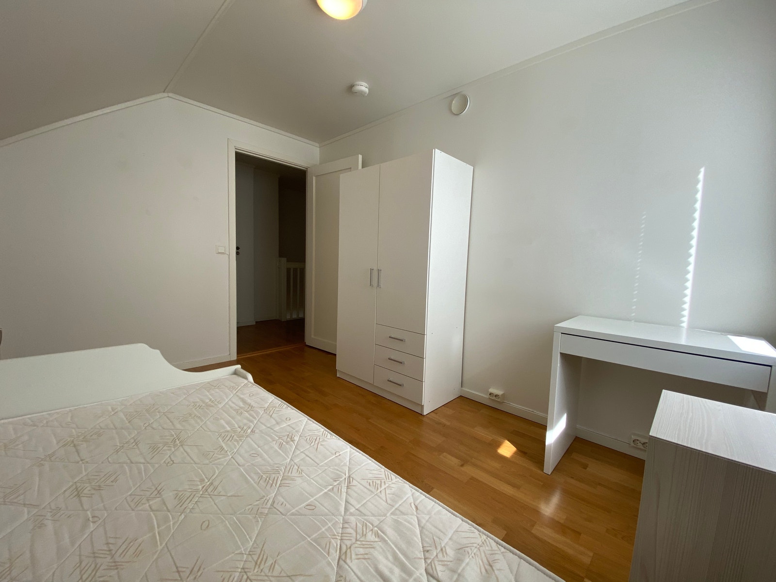 Rom 303 Galleribilde