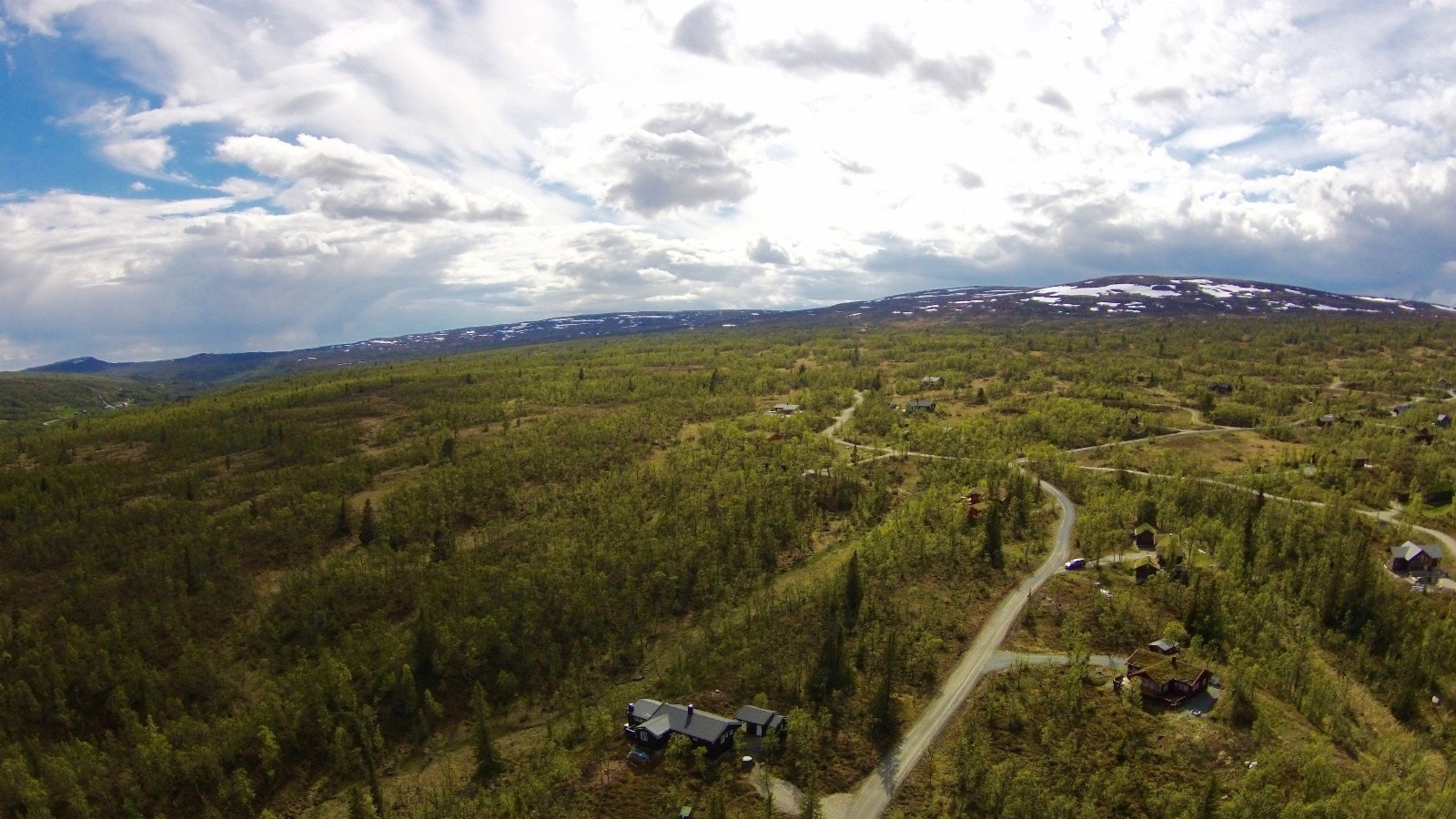 Tomtene ligger i glissen fjellbjørkeskog med grasmark og åpne myrpartier mellom 620 og 710 moh. Galleribilde