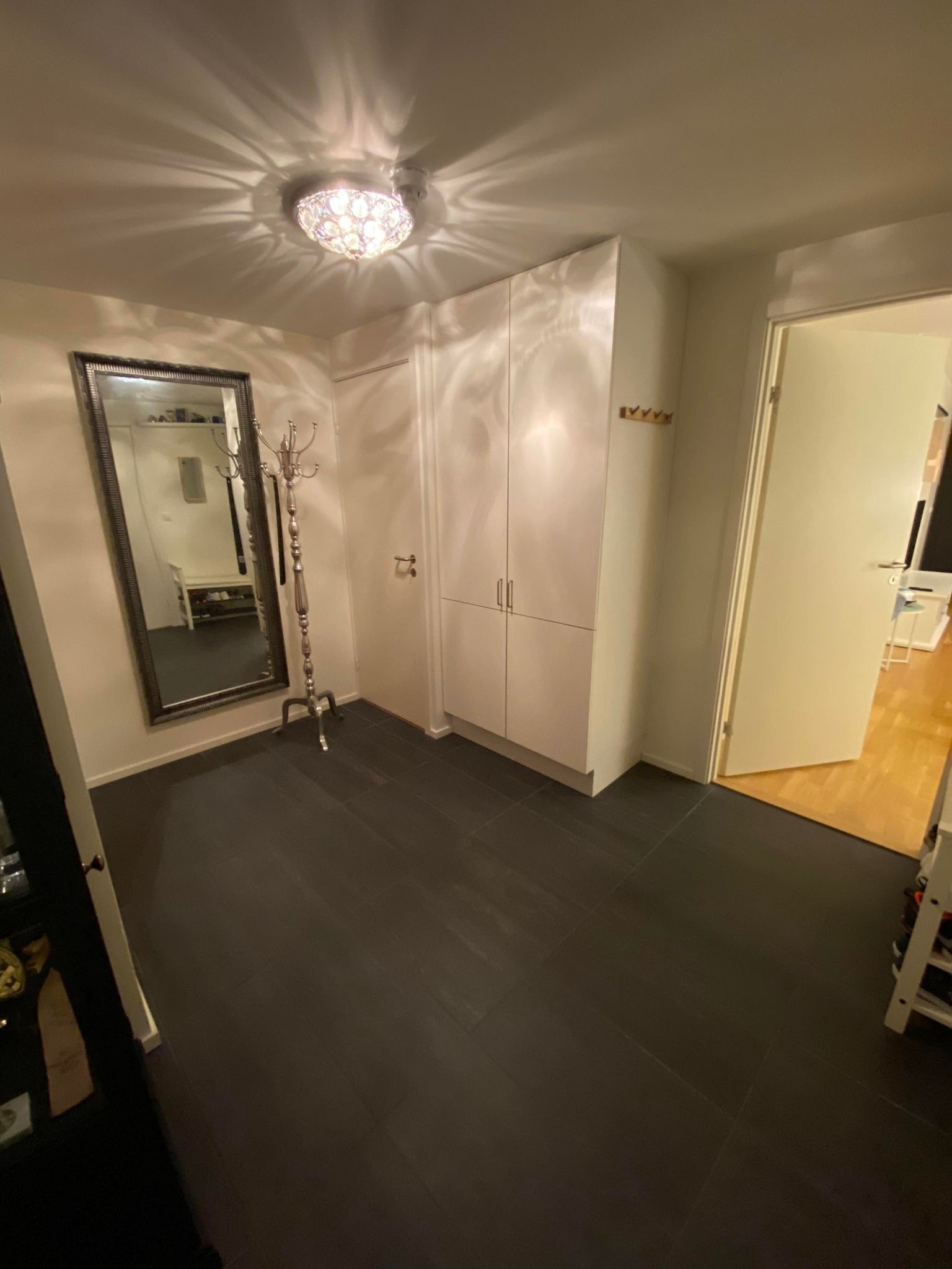 GANG (8,8 kvm) Galleribilde