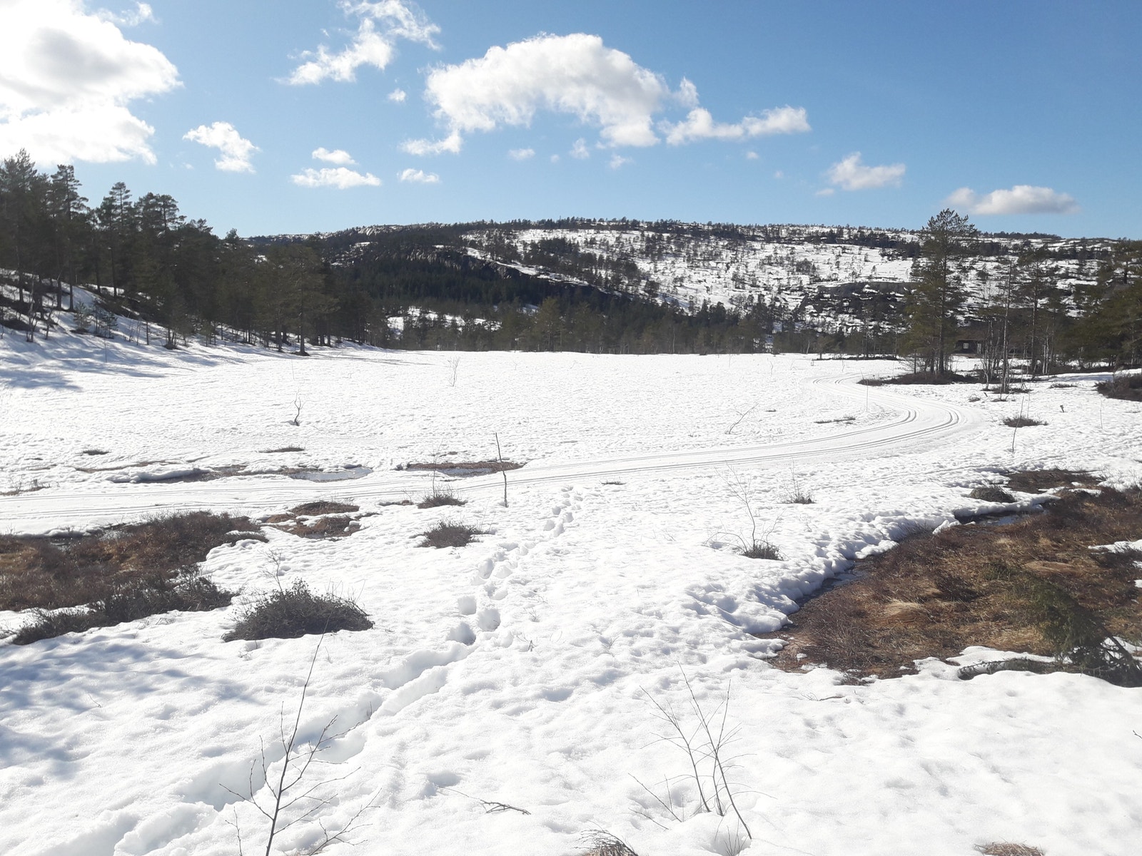 skiløpya går rett igjennom hyttefeltet. Galleribilde