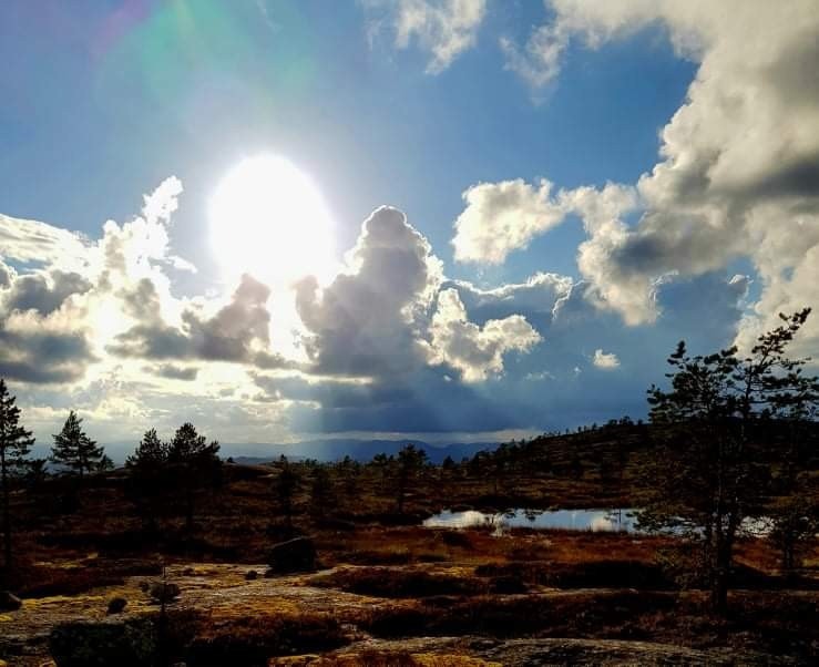 havrefjell Galleribilde