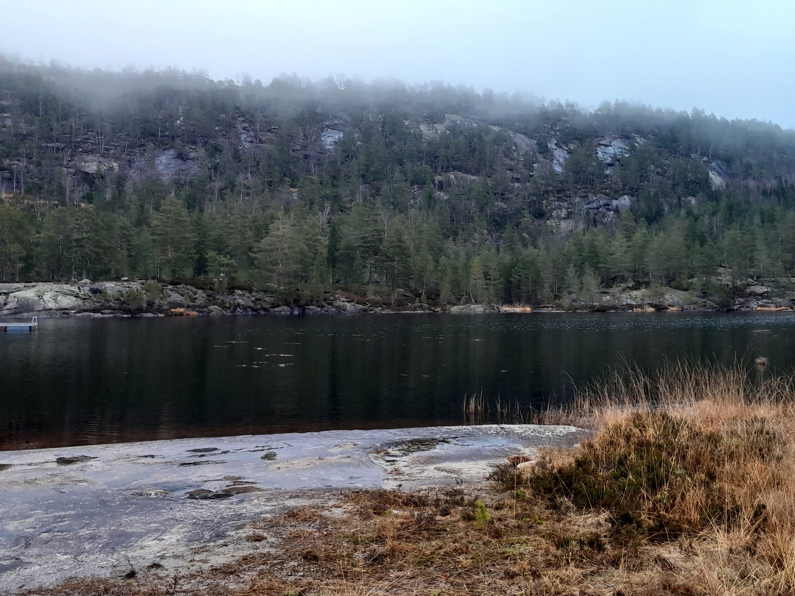 Nærområde Galleribilde