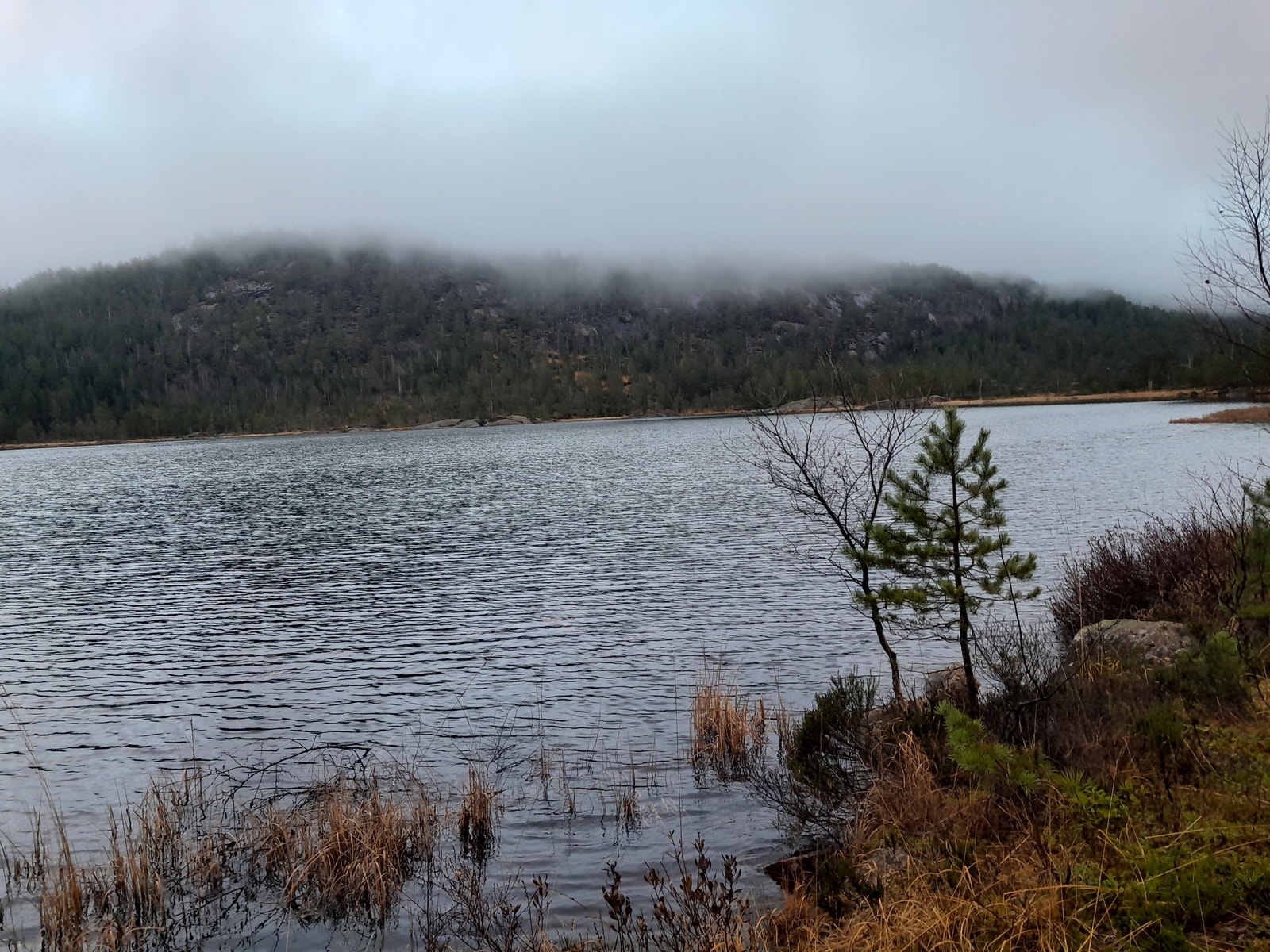 nærområde Galleribilde