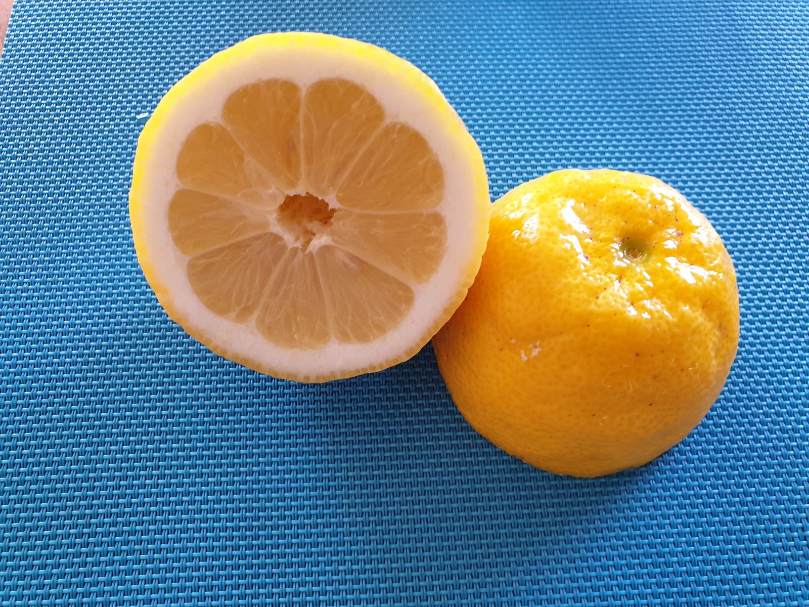 Sitroner fra egen hage! Galleribilde