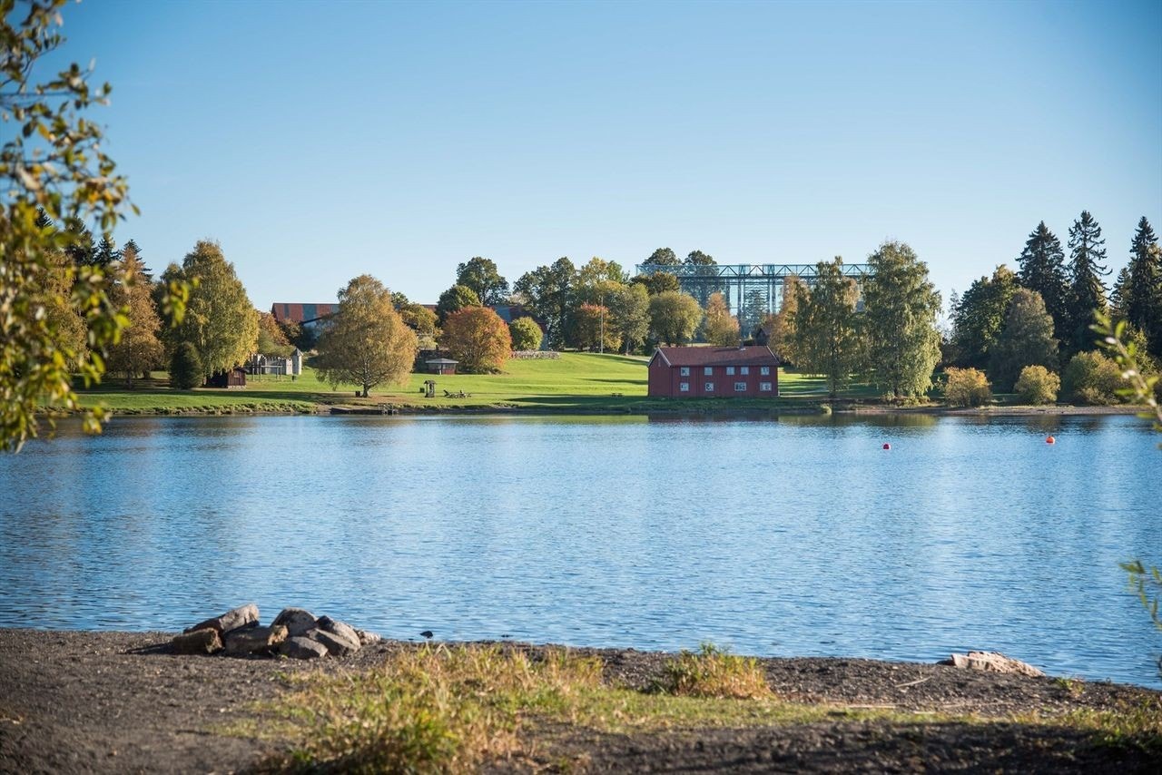Nærhet til Mjøsa Galleribilde