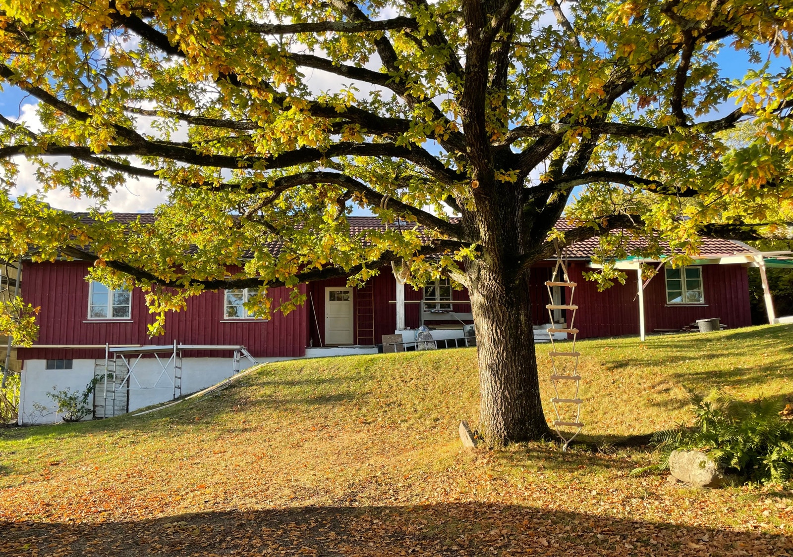 Høst (huset under renoveringen). Galleribilde