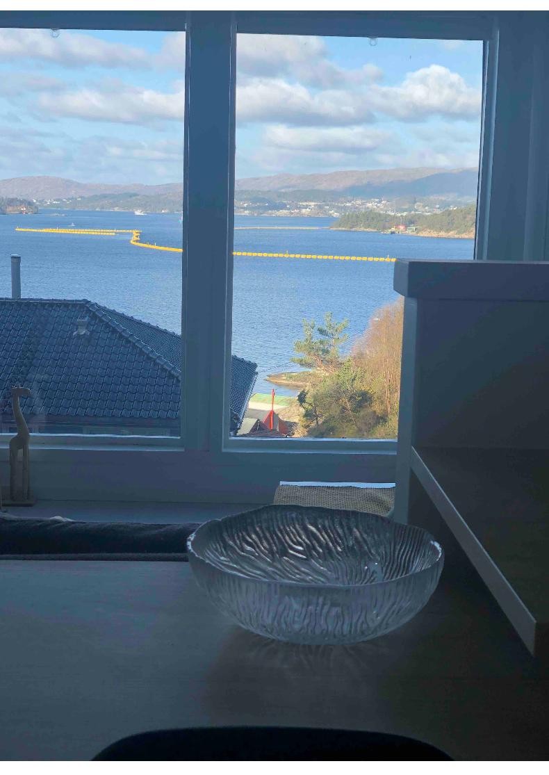 Utsikt fra sofakroken Galleribilde